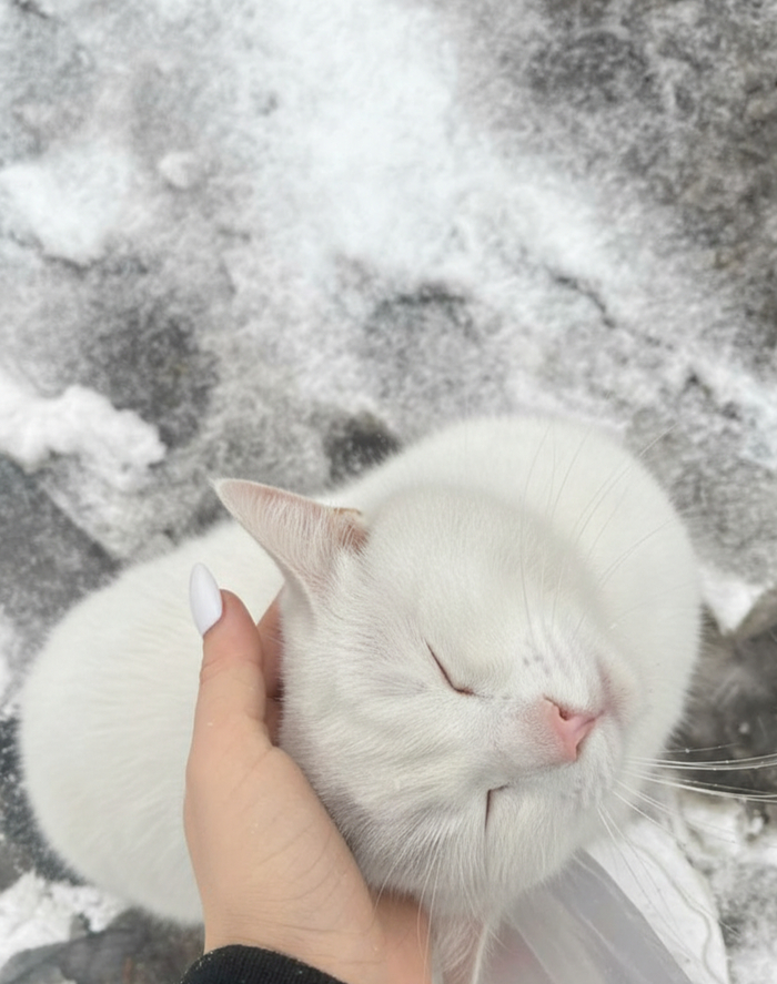 ���������:��������� � �� �������� ��������