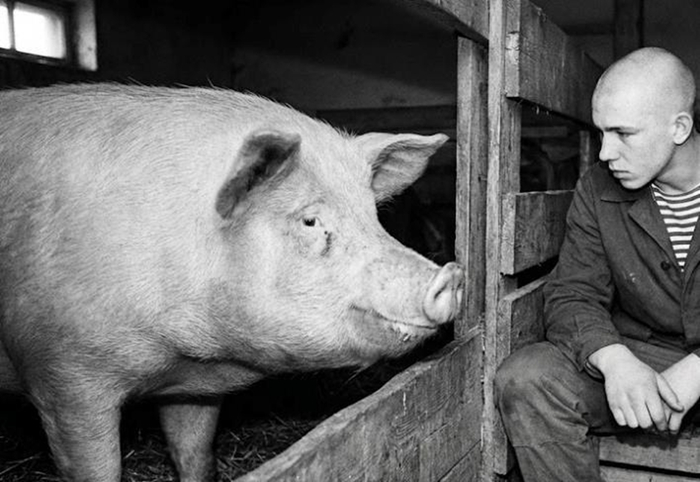 � ���������� �������������� ��������� ����������&nbsp; ���ʻ, 1991 ���.