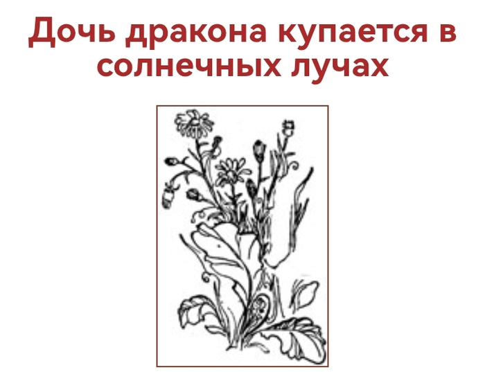 ����������� � ��� �� ������. ������ �������� � ��� ����. ��������� ������. ��� ���. �.�.������. � �.: ������������ ������������ ���������, 1993. � 192 �.