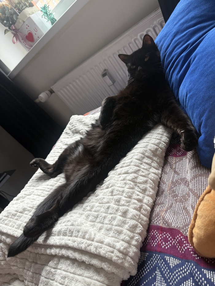 �� ���� ���