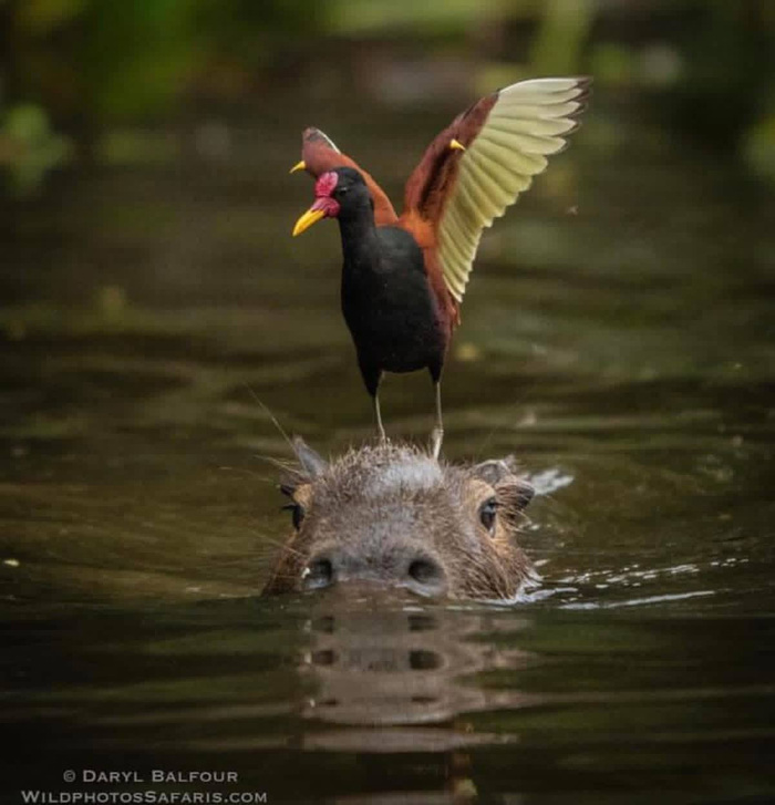 �� ��������� �����