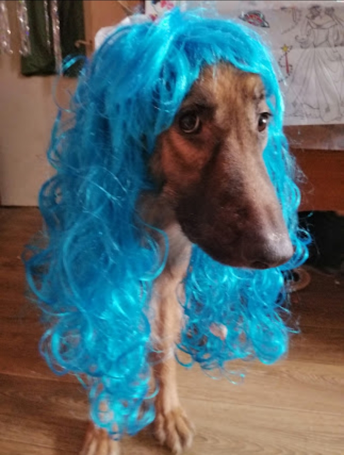 �������