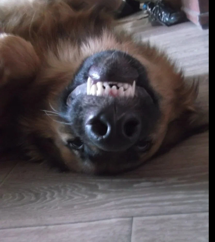 � �����, ��������� ������