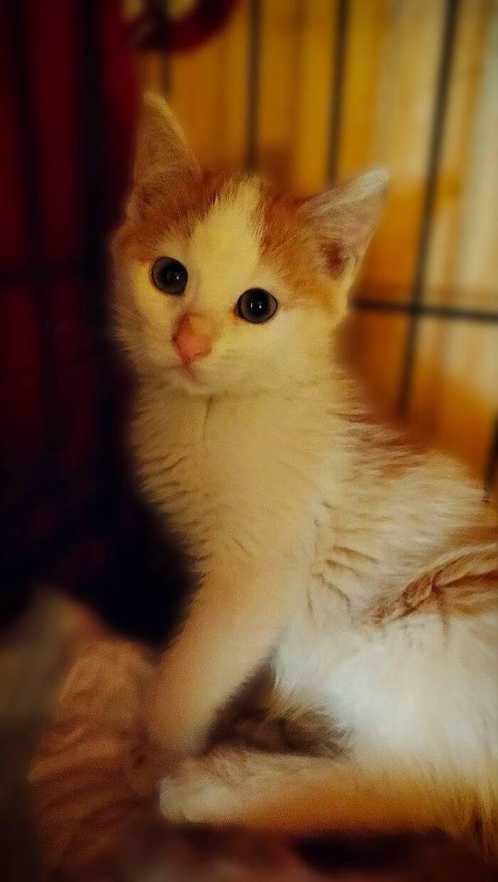 �������� ������ ������ ������ ���� ���!