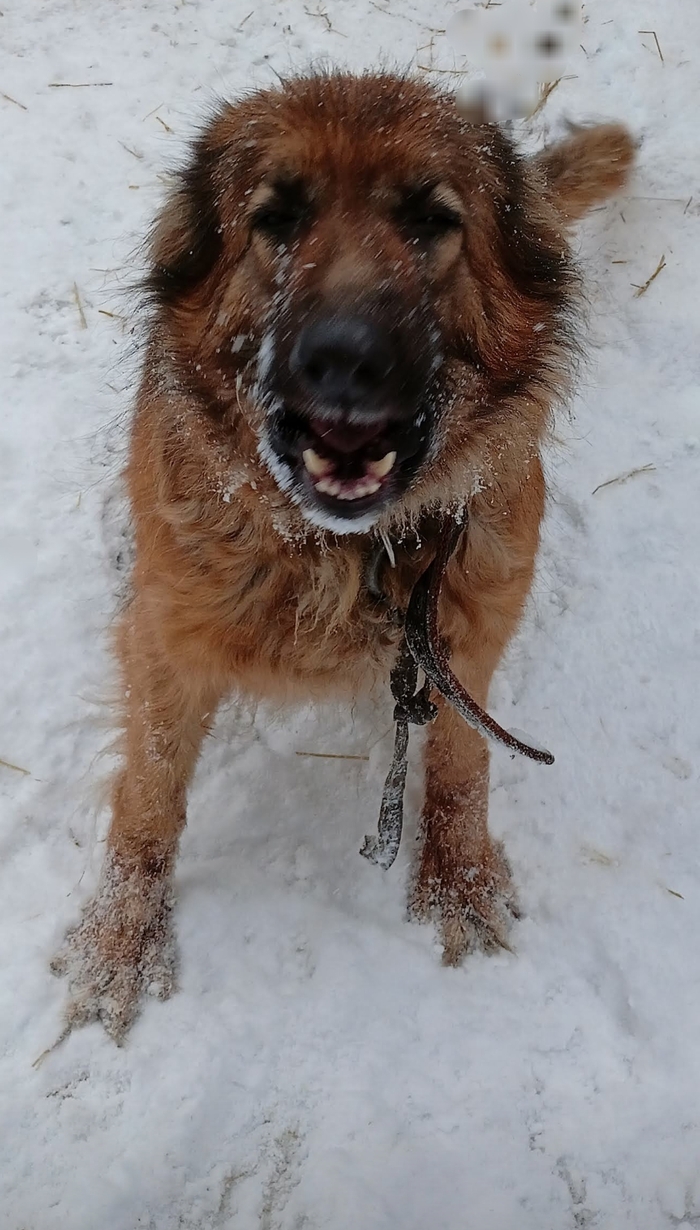 ���������� �����