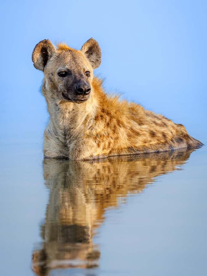 ������������� �����