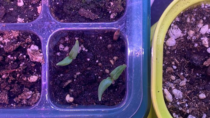 �������!