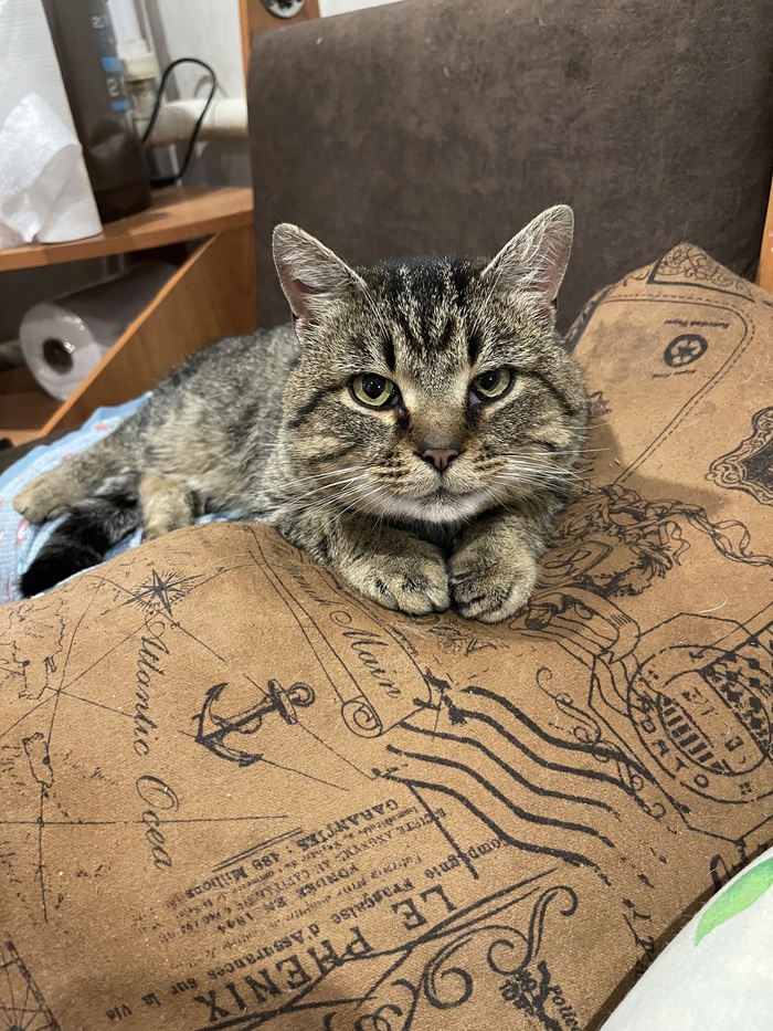 ������, ������ ��������, �������