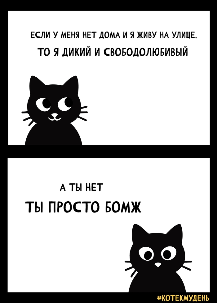 Котек Мудень #5 Кто есть кто