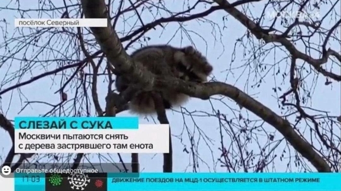 Взято с тг-канала <!--noindex--><a href="https://pikabu.ru/story/slezay_ccyka_enot_13669962?u=https%3A%2F%2Ft.me%2Fnewsmoscow&t=https%3A%2F%2Ft.me%2Fnewsmoscow&h=cae24c386abe350d18511f5f89831d0c3762cd42" title="https://t.me/newsmoscow" target="_blank" rel="nofollow noopener">https://t.me/newsmoscow</a><!--/noindex-->