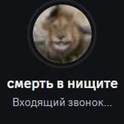 user10049979