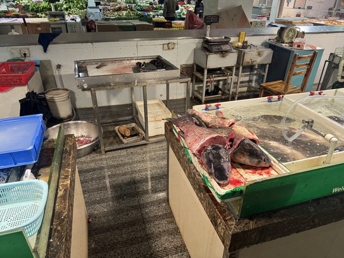 ���� ����������� �� ����� � ����������� ������� �����