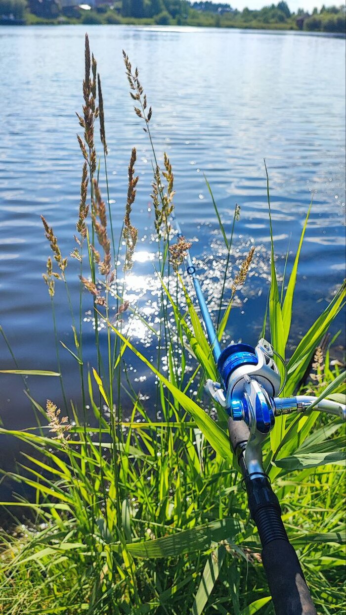 �� ��� ��