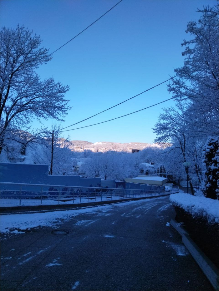 ������ ���� �19