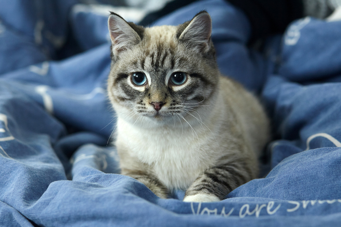 ������� , ������ � ��