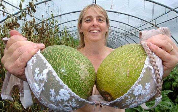 ������ ��� ������