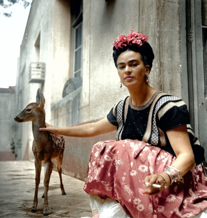 ��������: ������� �����