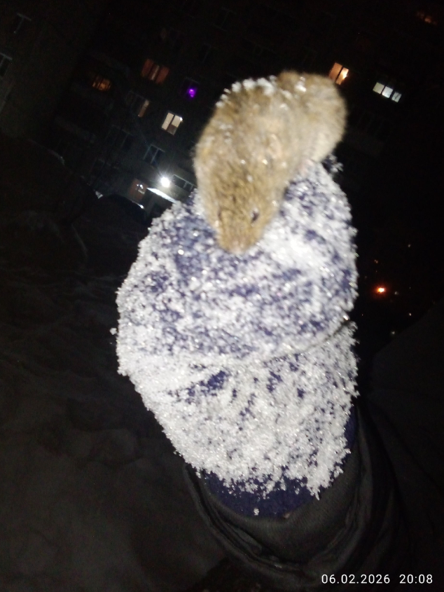 ���� ������� ������ ���� � ��� �������, � ����� � ����� ���������� ����