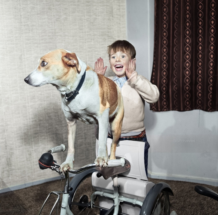 ��������: ����� ������