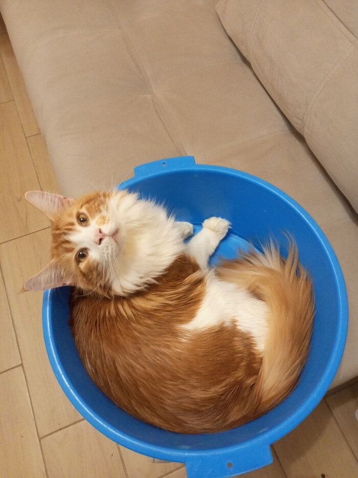 ������� ���������������� ����� - ��� ��������������� �����. ������ ���� ����� ������ ���������.