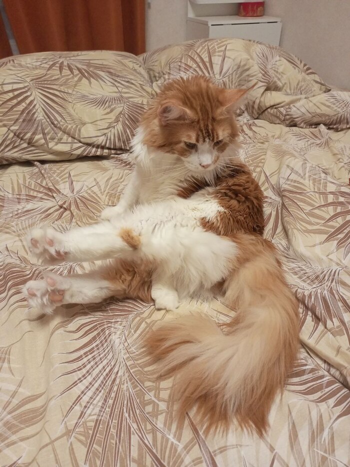 �� ����� �� ������ - � ������� � ��������. ��������?