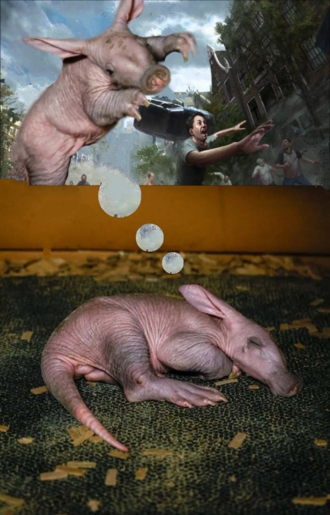 ����� �� ���� ������� ����������