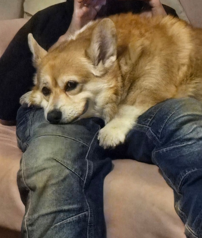 ��� �������