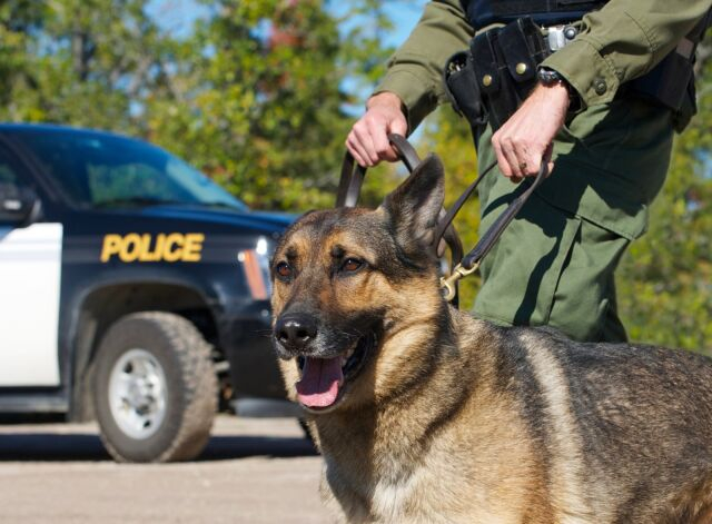 ������ � �������� ������ �������.