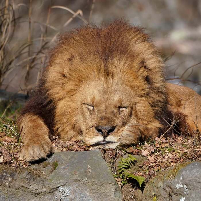 �� ������!