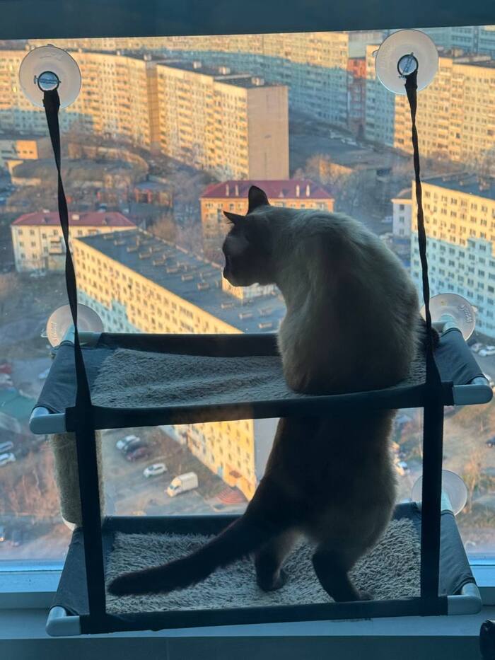 ����������