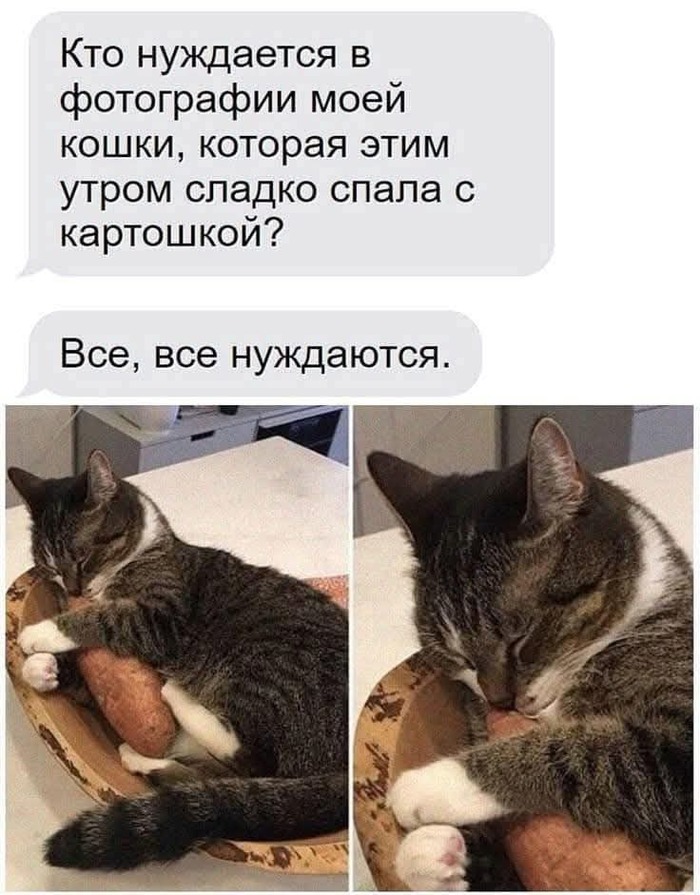 ������� ��� ����� �������