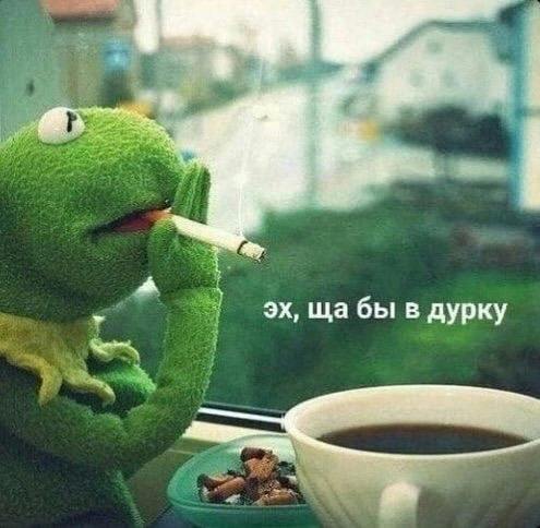 ����� ElectricFerret ��� ����� � �����������