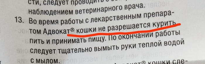 ���� ��� ���� �� ����������