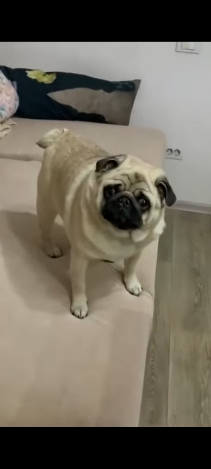 � ���� ���� ������...