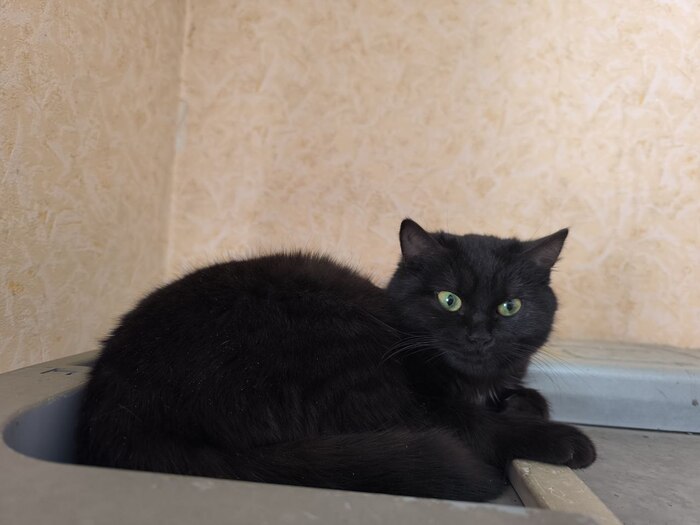 ��� �� �������� � ����. 1 �������, ������ � ����. 