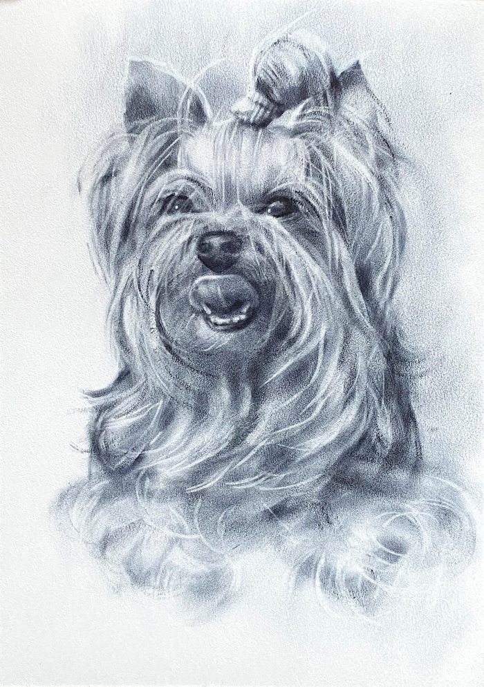 ������� ������������ �������