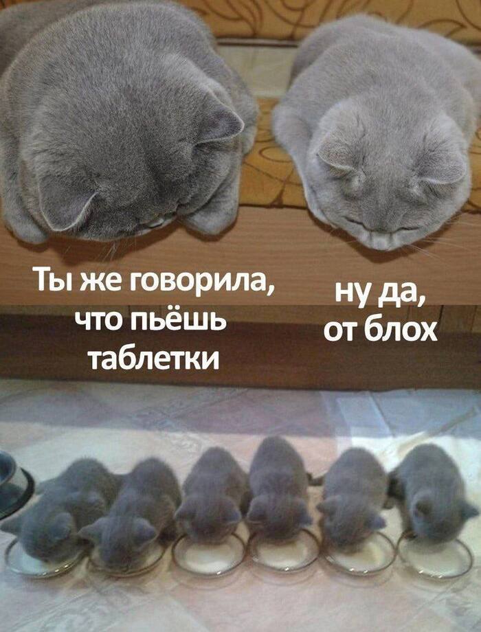 ��������� ������