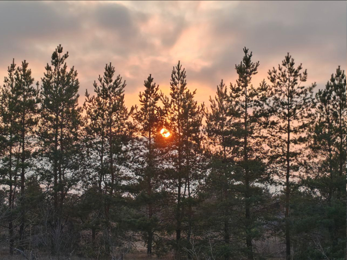 ���, ����, ���)