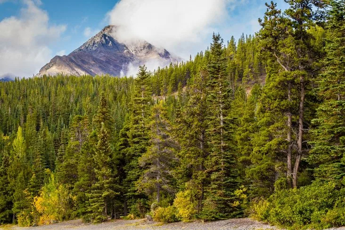 �������� ������ ������ ������