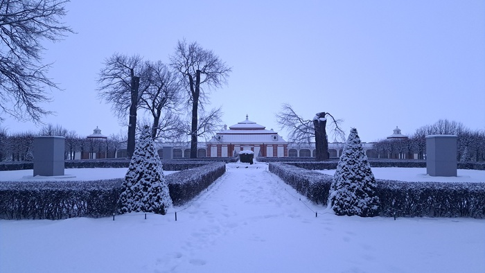 ���� ����������