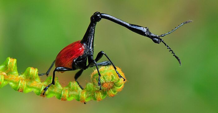 ���-�����. ��� �� � ����� ��� ����� ���?