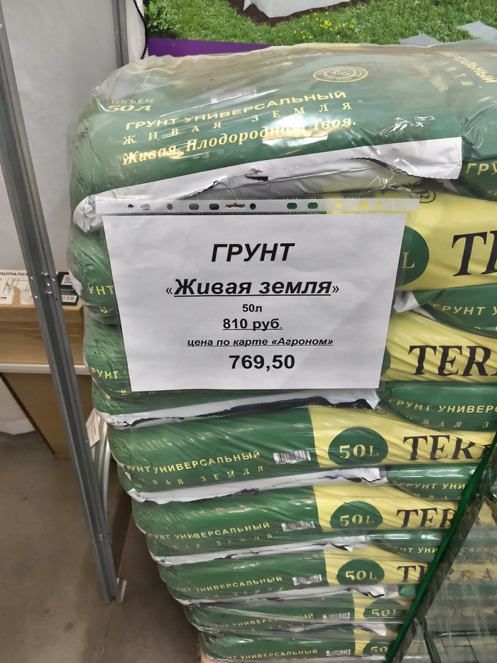 ���� ������ ��� �����