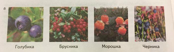 �������������� �� ������