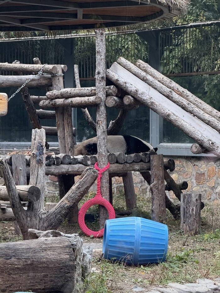 ������� � �����. �.3. �����: �����, ����� ��������