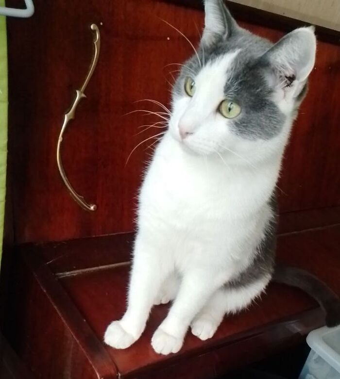 ������, ����� ��������� ���, �� ������ ���� ����� ���������, ��, ���� ������� �������� � ��� �������, �� �� ������ ����� ��������, ��� �������������� �� �������� � ������ ��������. ������� �������� 3,5 ����. � �������� ����������� ������.