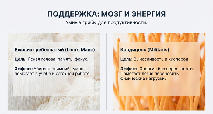 ����������� ��������: ��� ������ �� ����� � �������