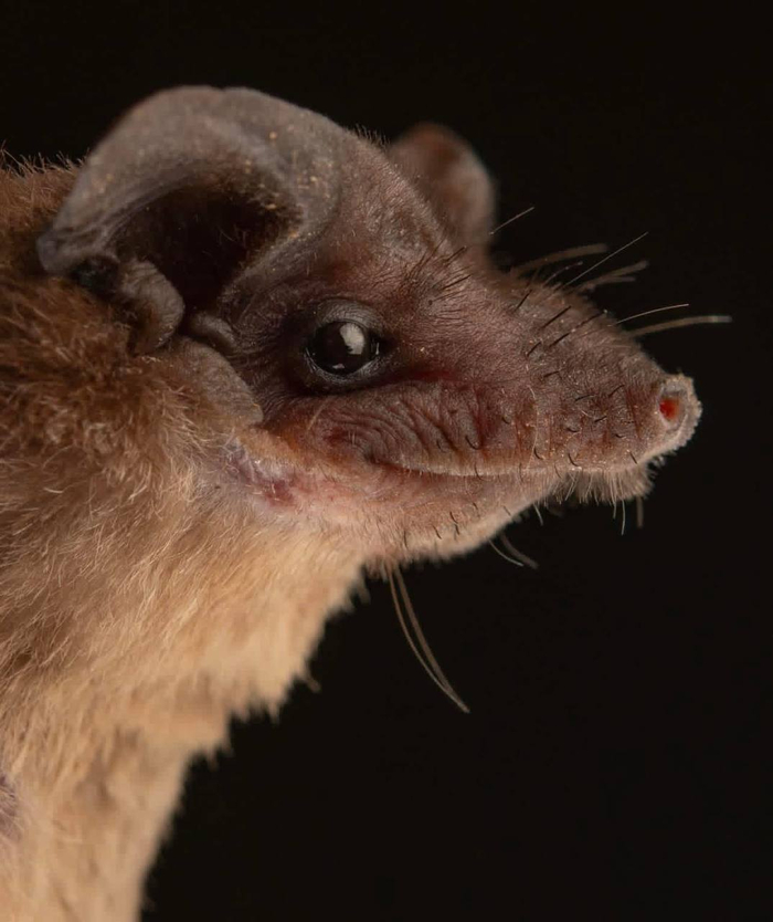 ����<a href="https://pikabu.ru/story/zhivoy_goblin_13676617?u=https%3A%2F%2Ft.me%2Fivanzatevakhin%2F4357&t=%D0%BE%D1%82%D1%81%D1%8E%D0%B4%D0%B0&h=0d05ca668774c7d7f1ed0a031ac2edf6ee6021fc" title="https://t.me/ivanzatevakhin/4357" target="_blank" rel="nofollow noopener"> ������</a>