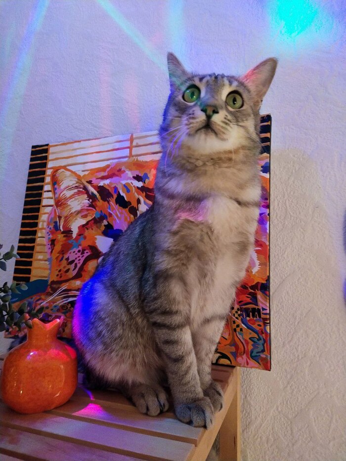 ������ ����� �����