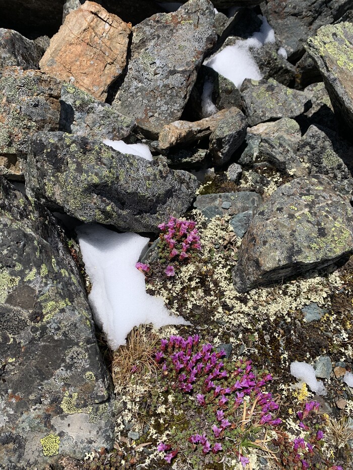 ���� ���, ������� ������ � ����� ����� ������� ��������. �������������!