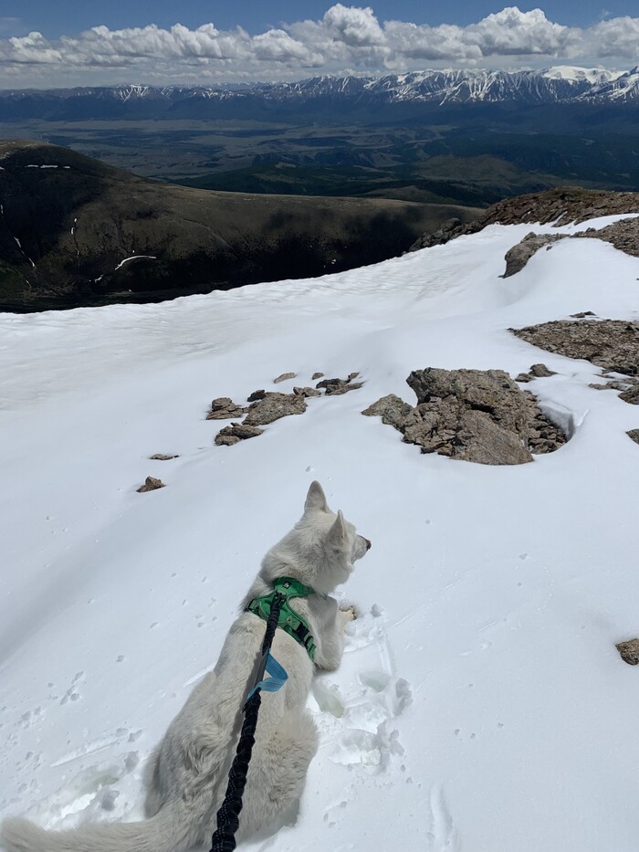 �� ������� �� ������, � ����� � ������������� �������� � ����� � ���������� ���))